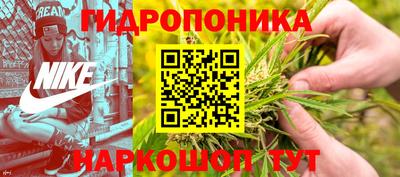 прущая мука Гусев