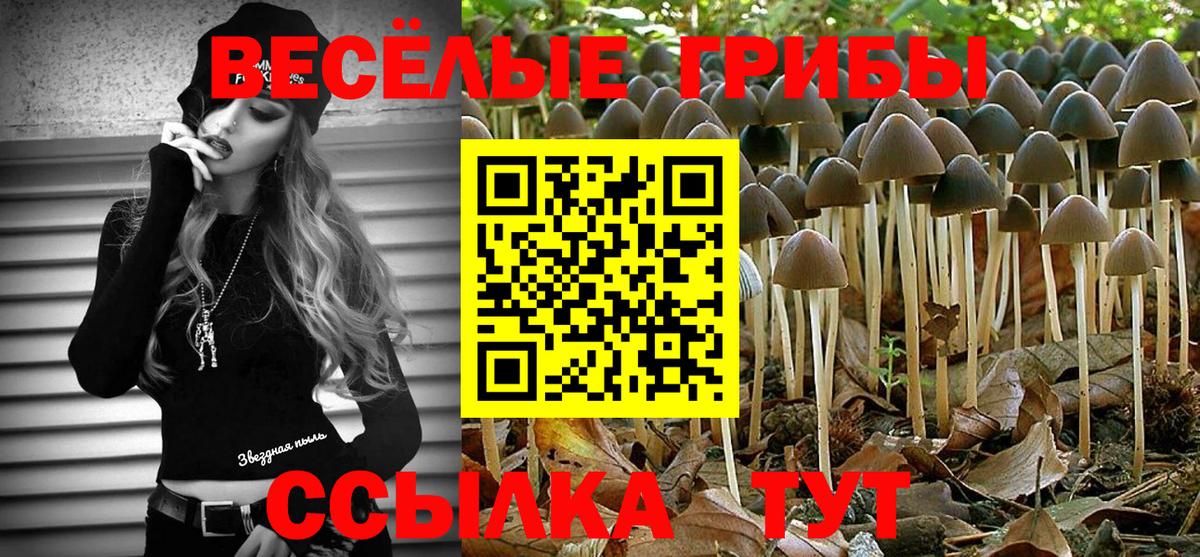 Псилоцибиновые грибы Cubensis Можайск