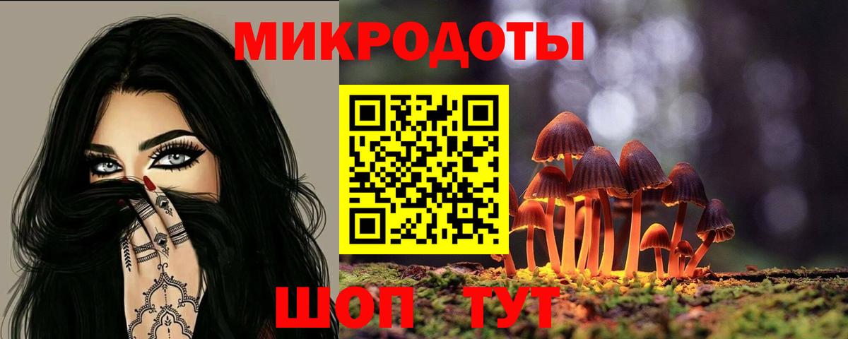 Можайск  Галлюциногенные грибы Psilocybe  Вход с VPN 